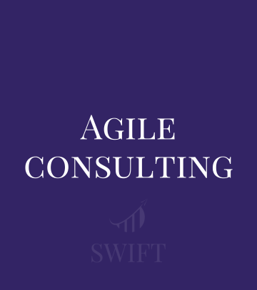 Agile Consulting