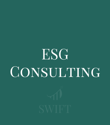 ESG Consulting